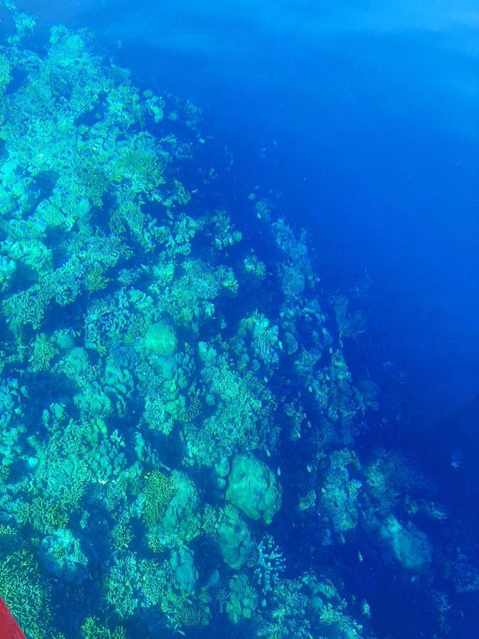 Blue Shark Divers Bunaken Kültér fotó
